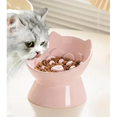 ZENITHMIND Bol Slow Food surélevé pour chat