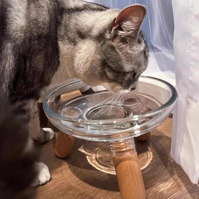ZENITHMIND Simple surélevé PET Bowl verre réglable haut