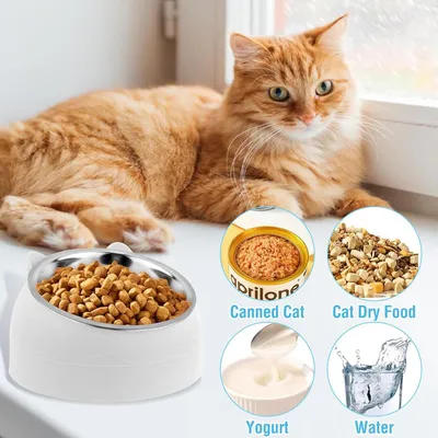 ZENITHMIND Gamelle Chat 200ML en Acier Inoxydable