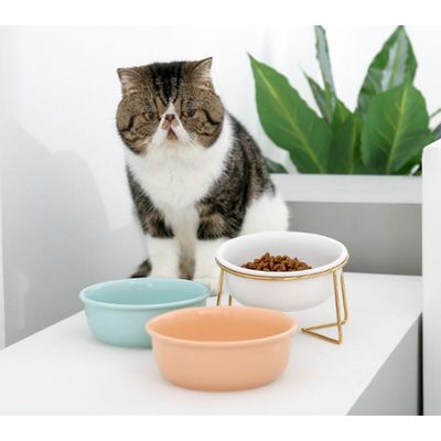 ZENITHMIND Gamelle Chat en Ceramique，800 ML