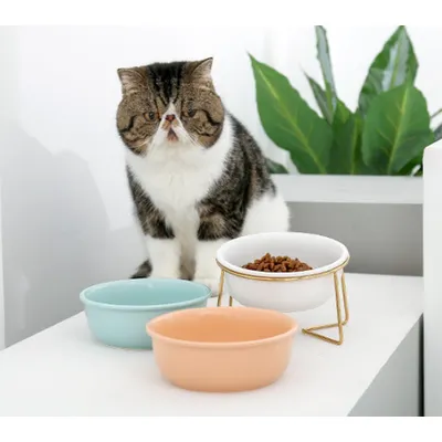 ZENITHMIND Gamelle Chat en Ceramique，800 ML