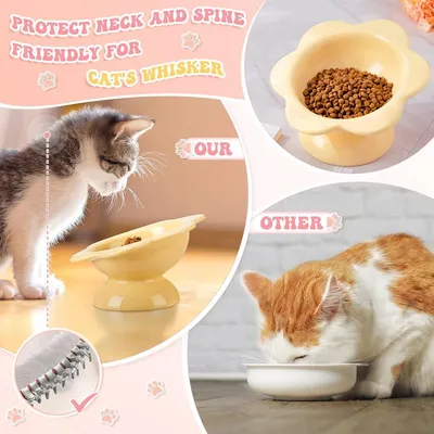 ZENITHMIND Bol pour chat en céramique en forme de fleur