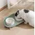 ZENITHMIND Gamelle pour Chat Ceramique