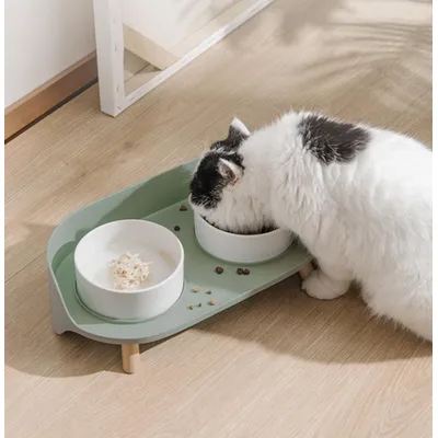 ZENITHMIND Gamelle pour Chat Ceramique