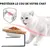 ZENITHMIND Gamelle en Céramique pour Animal Domestique avec Support