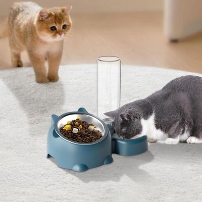 ZENITHMIND Ensemble de gamelle à eau et nourriture pour chat