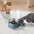 ZENITHMIND Ensemble de gamelle à eau et nourriture pour chat