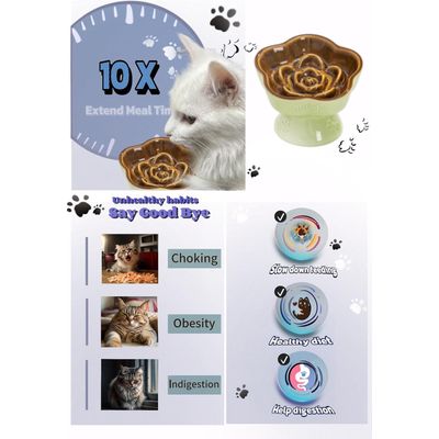 ZENITHMIND Slow Food céramique chat High Bowl