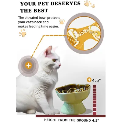 ZENITHMIND Slow Food céramique chat High Bowl