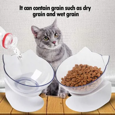 ZENITHMIND Gamelle surélevée pour chat, nourriture pour chat et eau