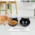 ZENITHMIND Inclinable Support Gamelle Chat,Antidérapant Bols pour Chat