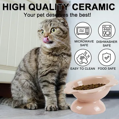 ZENITHMIND Bol haut chat en céramique, incliné à 15°
