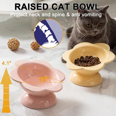 ZENITHMIND Bol haut chat en céramique, incliné à 15°