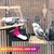 LovuPet Lot de 8 jouets à mâcher pour oiseaux, en bois naturel