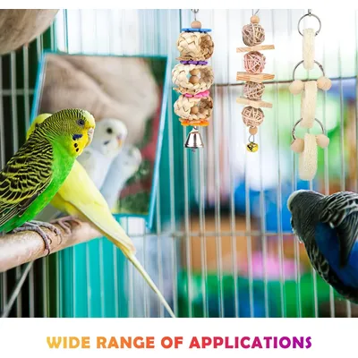 LovuPet Lot de 8 jouets à mâcher pour oiseaux, en bois naturel