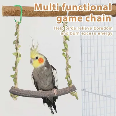 LovuPet Balançoire en Bois pour Perroquet