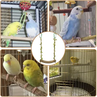 LovuPet Balançoire en Bois pour Perroquet