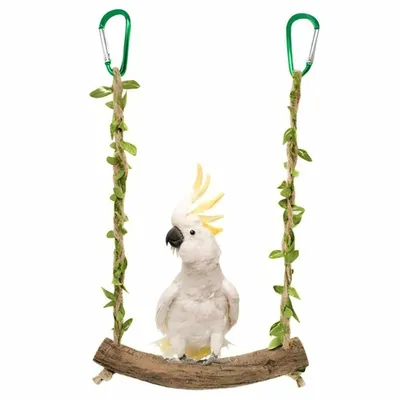 LovuPet Balançoire en Bois pour Perroquet