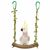 LovuPet Balançoire en Bois pour Perroquet