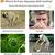 LovuPet Ramasse-crottes portable pour chiens et chats de manche pliable