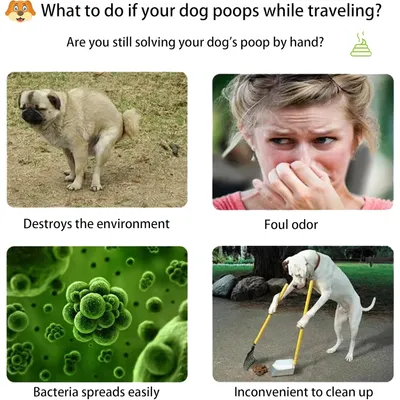 LovuPet Ramasse-crottes portable pour chiens et chats de manche pliable