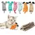 LovuPet 6 Pièces Jouets pour Chats Intérieur+ 10 bâtons molaires