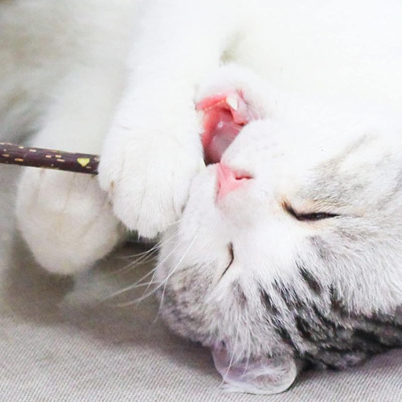 LovuPet 6 Pièces Jouets pour Chats Intérieur+ 10 bâtons molaires