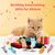 LovuPet 6 Pièces Jouets pour Chats Intérieur+ 10 bâtons molaires