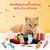 LovuPet 6 Pièces Jouets pour Chats Intérieur+ 10 bâtons molaires