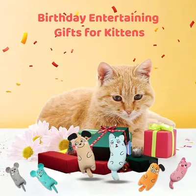 LovuPet 6 Pièces Jouets pour Chats Intérieur+ 10 bâtons molaires