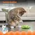 LovuPet Crunchy Pickle Kicker Jouet Dentaire pour Chat Herbe à Chat