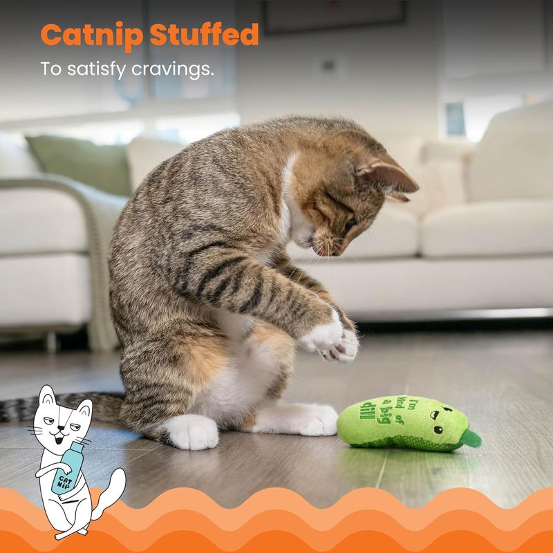 LovuPet Crunchy Pickle Kicker Jouet Dentaire pour Chat Herbe à Chat