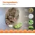LovuPet Crunchy Pickle Kicker Jouet Dentaire pour Chat Herbe à Chat