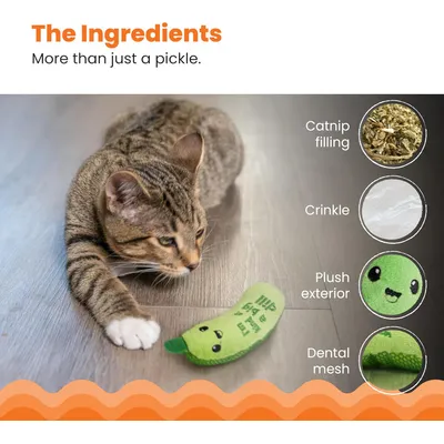 LovuPet Crunchy Pickle Kicker Jouet Dentaire pour Chat Herbe à Chat