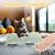 LovuPet 2 coussins à l'herbe à chat,doux et résistant, avec son froissé