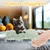 LovuPet 2 coussins à l'herbe à chat,doux et résistant, avec son froissé
