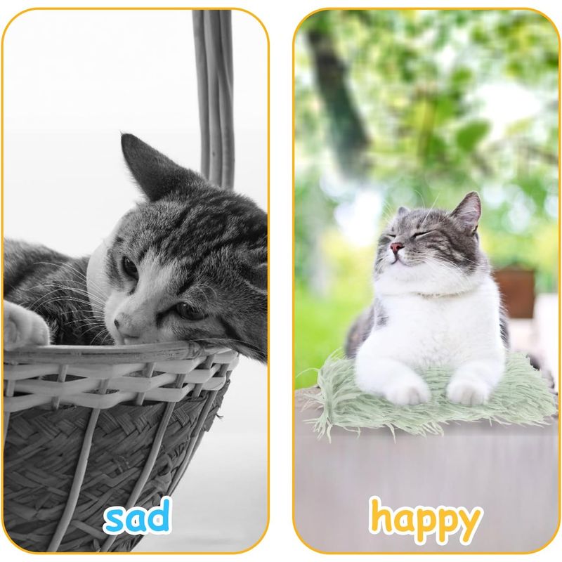 LovuPet 2 coussins à l'herbe à chat,doux et résistant, avec son froissé