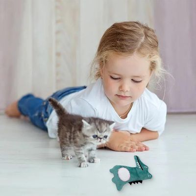 LovuPet 5 Pièces Jouet chat Herbe à Chat, Peluche pour Chat Jouets