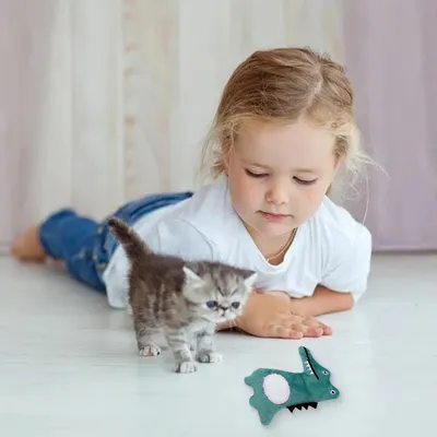 LovuPet 5 Pièces Jouet chat Herbe à Chat, Peluche pour Chat Jouets