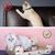 ZENITHMIND Grattoir pour chat avec chat menthe