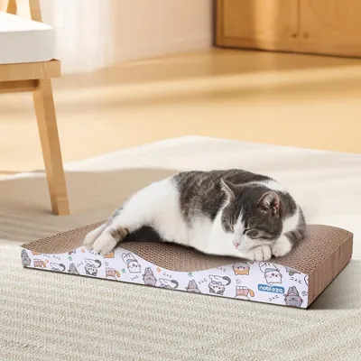 ZENITHMIND 2 PCS grattoir chat avec menthe, disponible des deux côtés