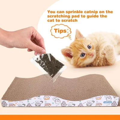 ZENITHMIND 2 PCS grattoir chat avec menthe, disponible des deux côtés