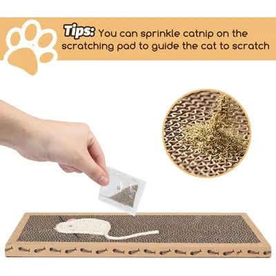 ZENITHMIND 1 pcs grattoir chat avec jeu grattoir chat