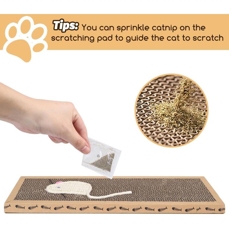 ZENITHMIND 3 pcs grattoir chat avec jeu grattoir chat