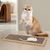 ZENITHMIND 3 pcs grattoir chat avec jeu grattoir chat