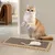 ZENITHMIND 3 pcs grattoir chat avec jeu grattoir chat