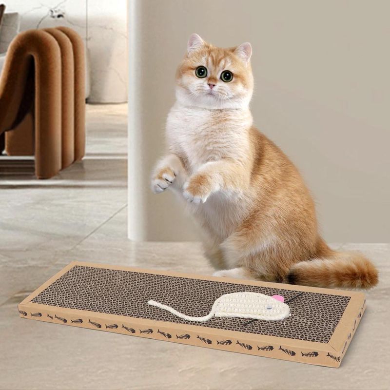 ZENITHMIND 3 pcs grattoir chat avec jeu grattoir chat