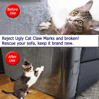 LovuPet Lot de 5 feuilles anti-griffures pour chat et chien