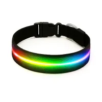 Must&co - Collier Lumineux pour Chien