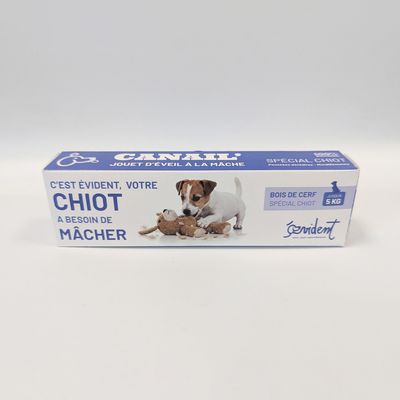 Evident Bois De Cerf Biseau Spécial Chiot